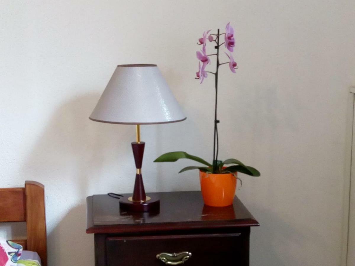 Apartman Teuta 萨格勒布 外观 照片