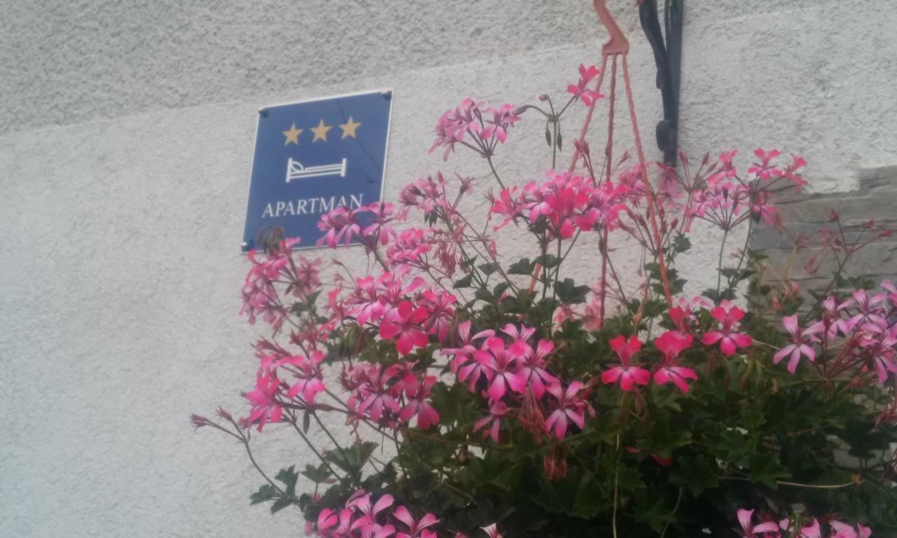 Apartman Teuta 萨格勒布 外观 照片