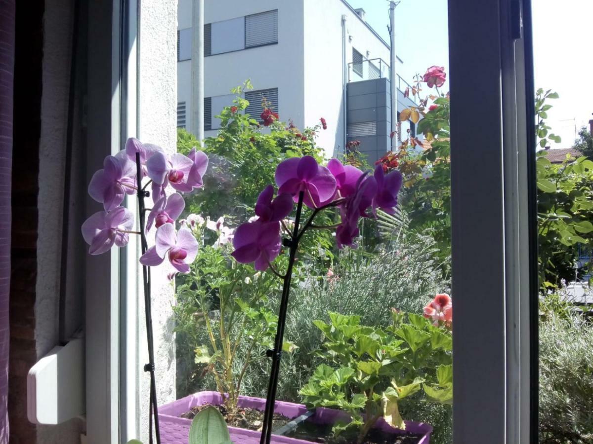 Apartman Teuta 萨格勒布 外观 照片