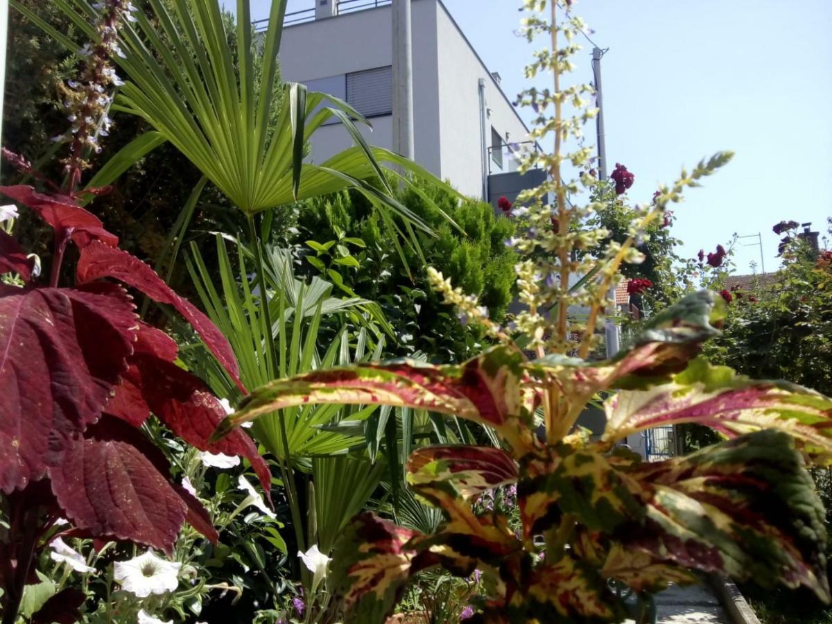 Apartman Teuta 萨格勒布 外观 照片