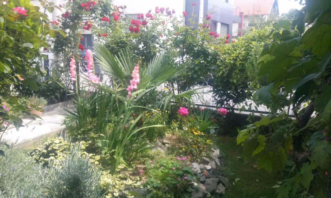 Apartman Teuta 萨格勒布 外观 照片