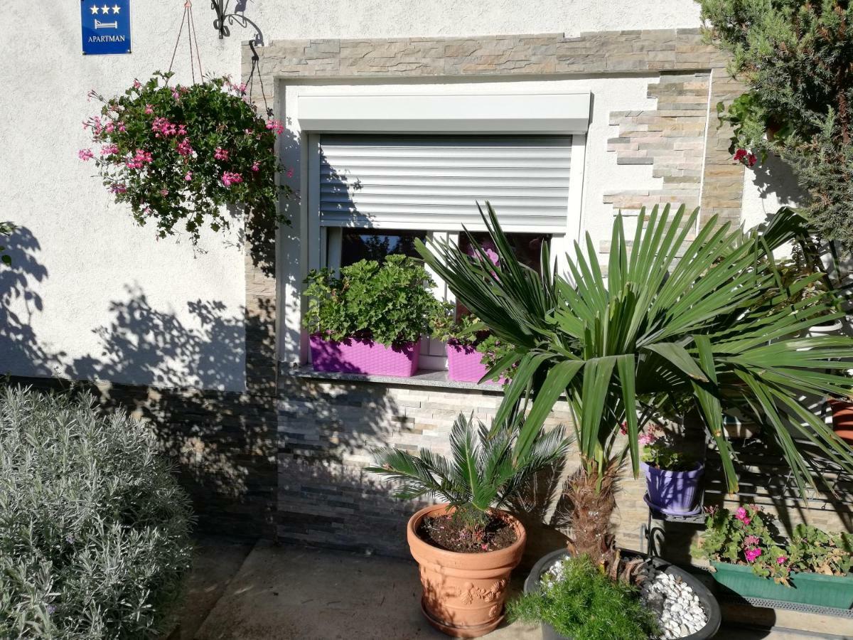 Apartman Teuta 萨格勒布 外观 照片